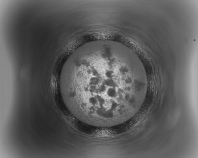 X0000097860695200803211254