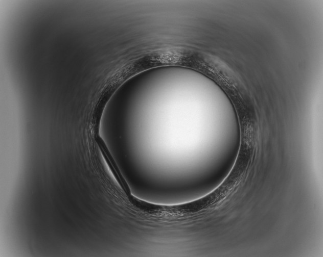 X0000097860697200803211254