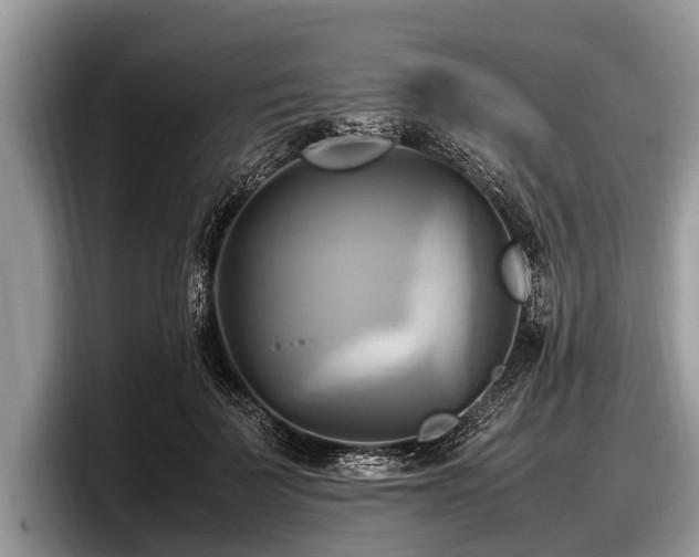 X0000097860699200803211254