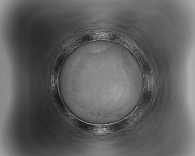 X0000097860701200803211254