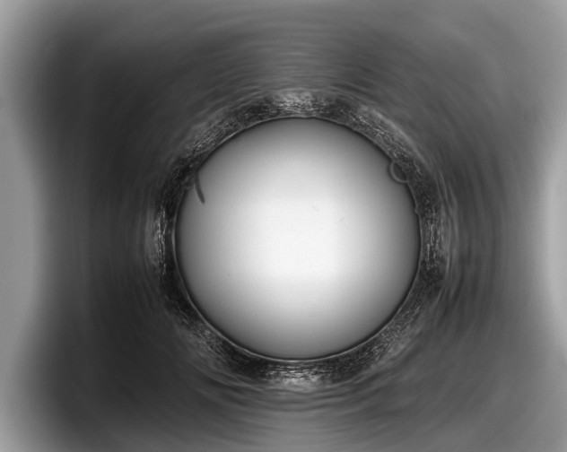 X0000097860702200803211254