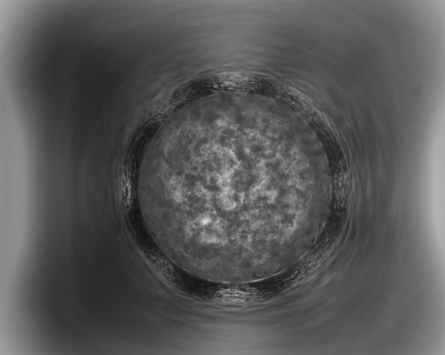 X0000097860703200803211254