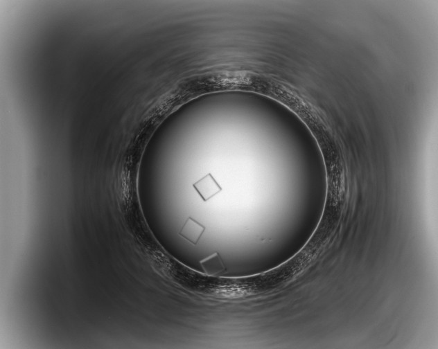 X0000097860704200803211254