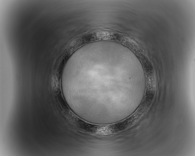 X0000097860705200803211254