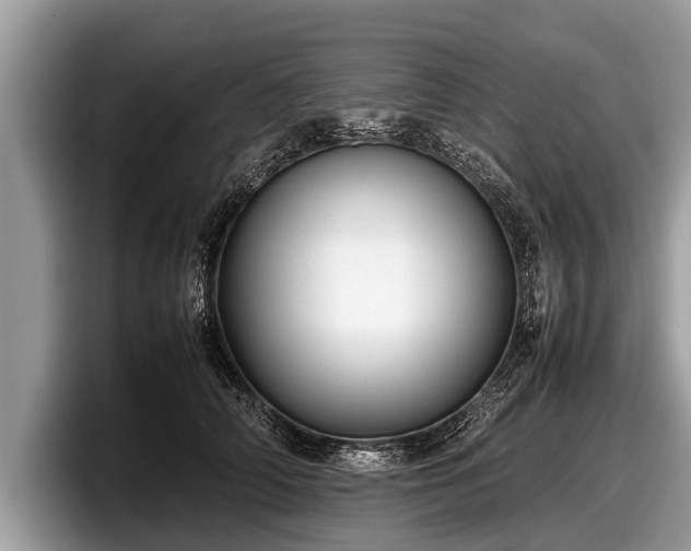 X0000097860706200803211254