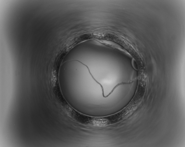 X0000097860707200803211254