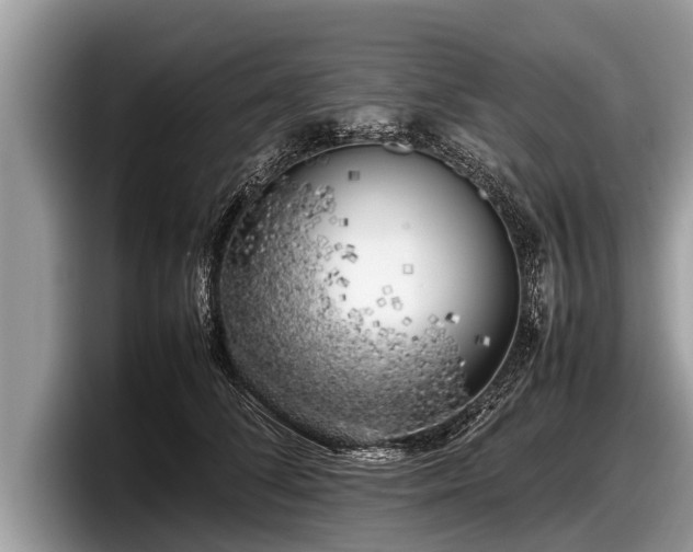 X0000097860708200803211254