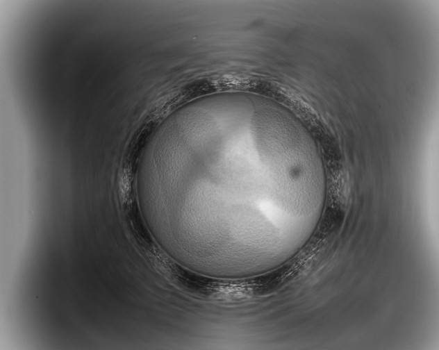 X0000097860709200803211254