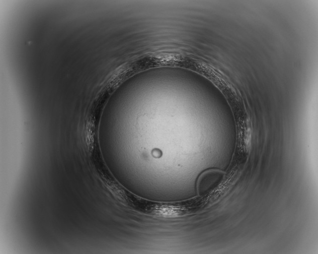 X0000097860710200803211254