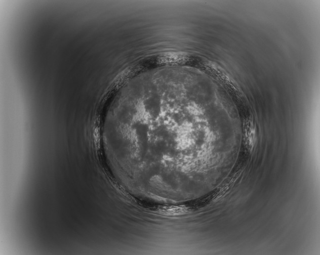 X0000097860716200803211254