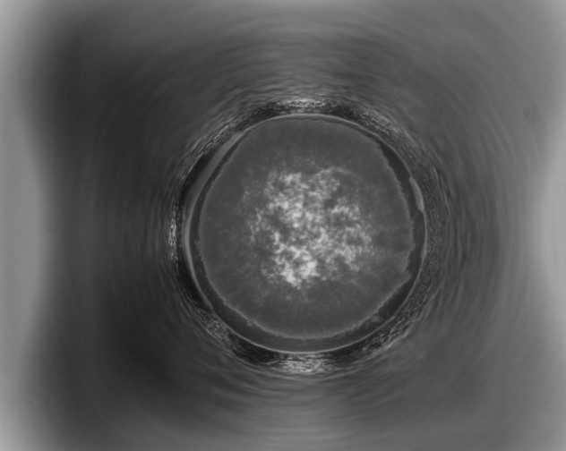 X0000097860720200803211254