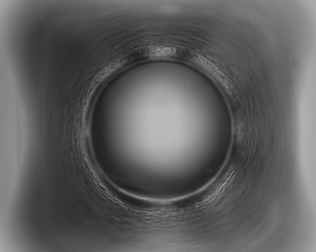 X0000097860721200803211253