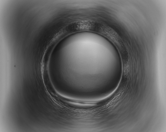 X0000097860722200803211253