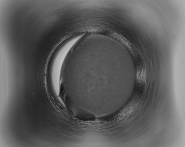 X0000097860724200803211253