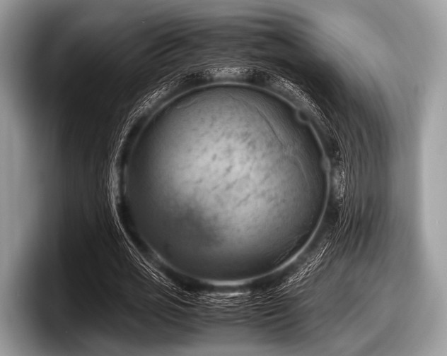 X0000097860725200803211253