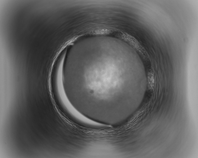 X0000097860726200803211254