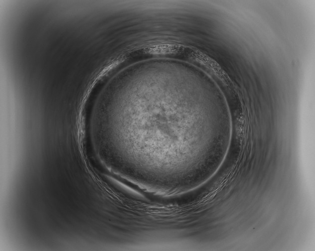 X0000097860727200803211254