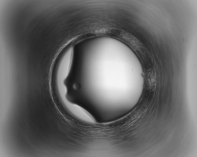 X0000097860728200803211254