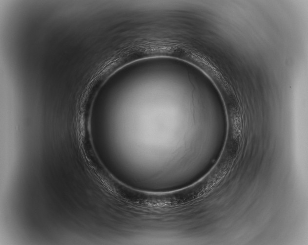 X0000097860729200803211254