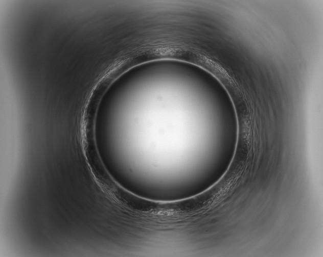 X0000097860730200803211254