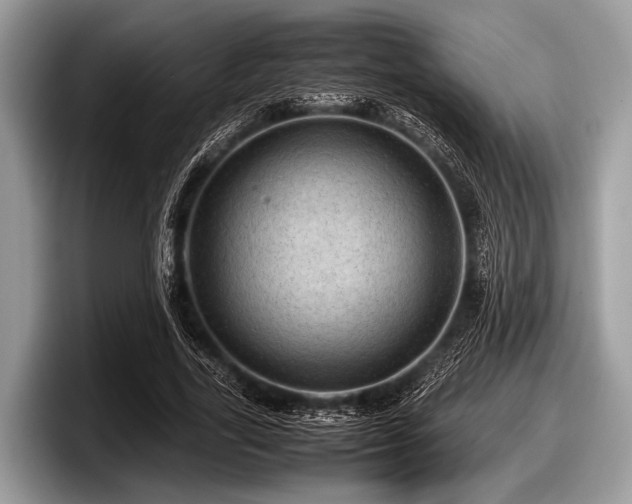 X0000097860731200803211254