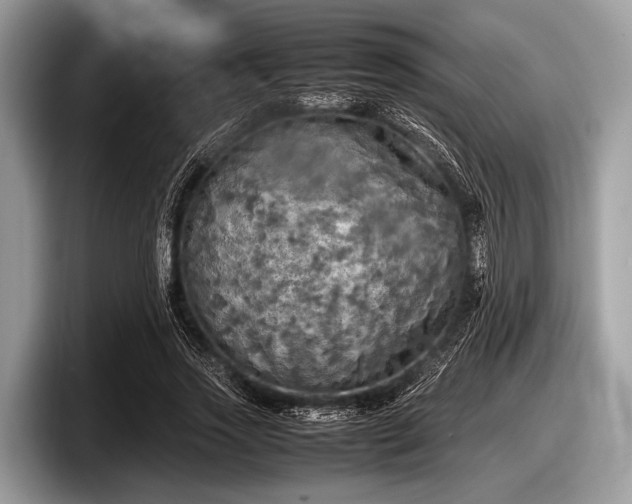 X0000097860733200803211254