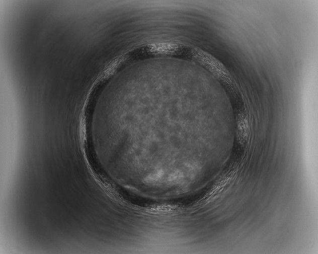 X0000097860734200803211254