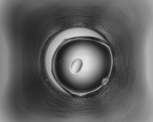 X0000097860735200803211254