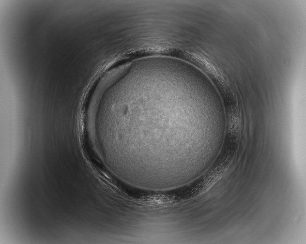 X0000097860736200803211254