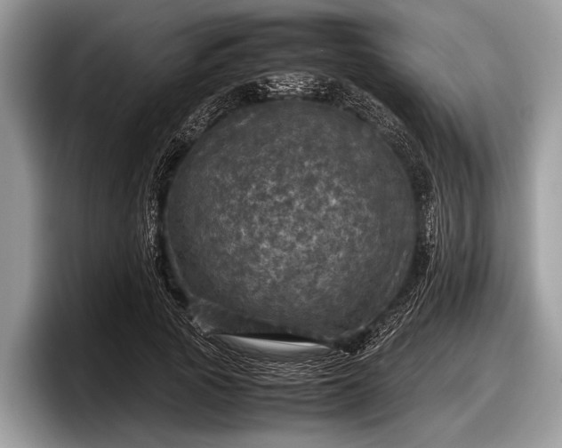 X0000097860737200803211254