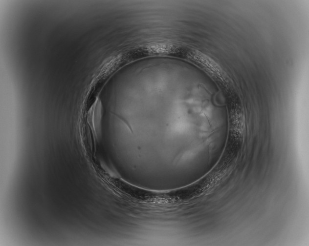 X0000097860738200803211254