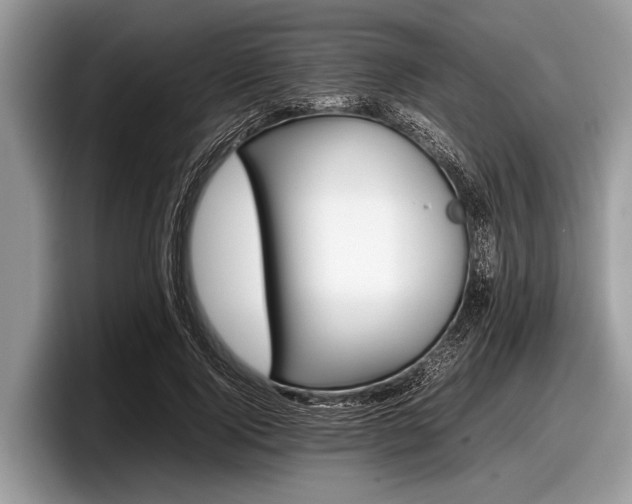 X0000097860740200803211254