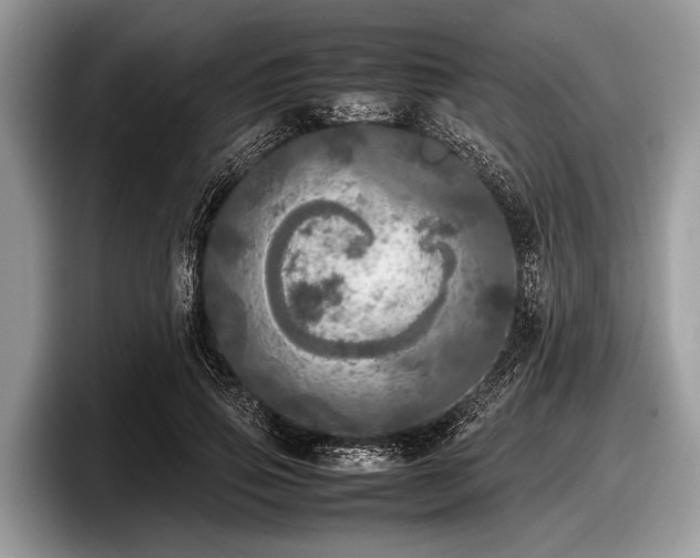 X0000097860741200803211254