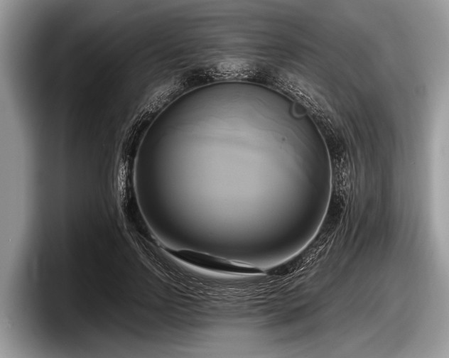 X0000097860742200803211254