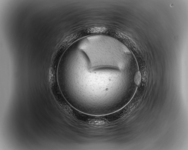 X0000097860743200803211254