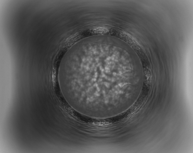 X0000097860745200803211254