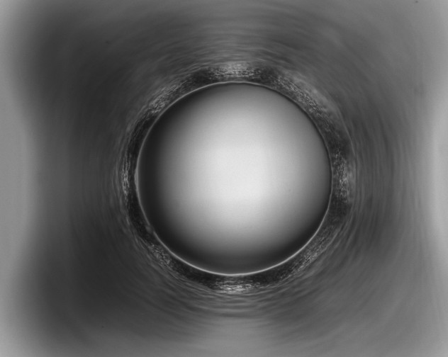 X0000097860746200803211254