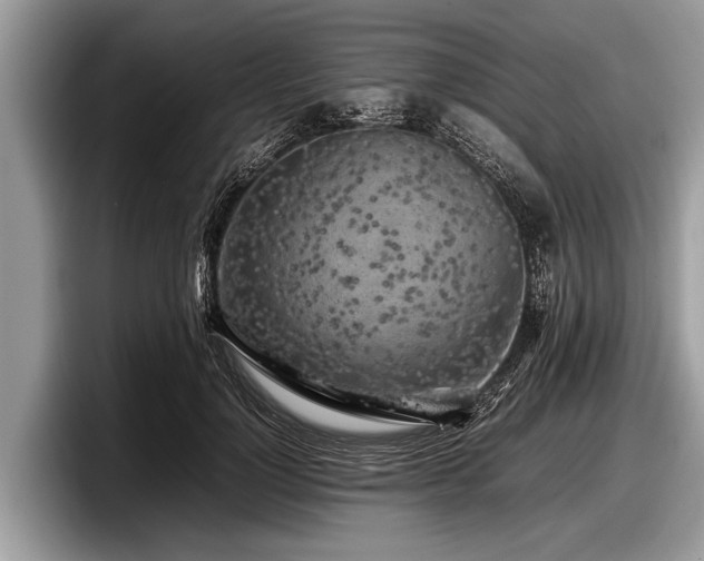 X0000097860748200803211254