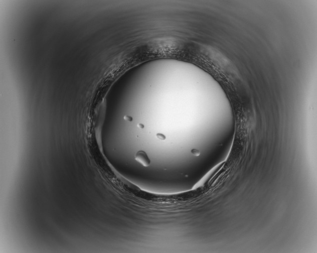 X0000097860750200803211254