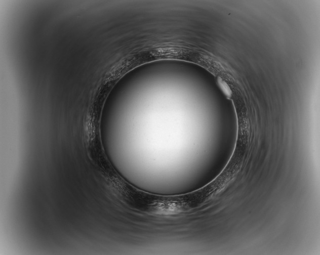 X0000097860751200803211254