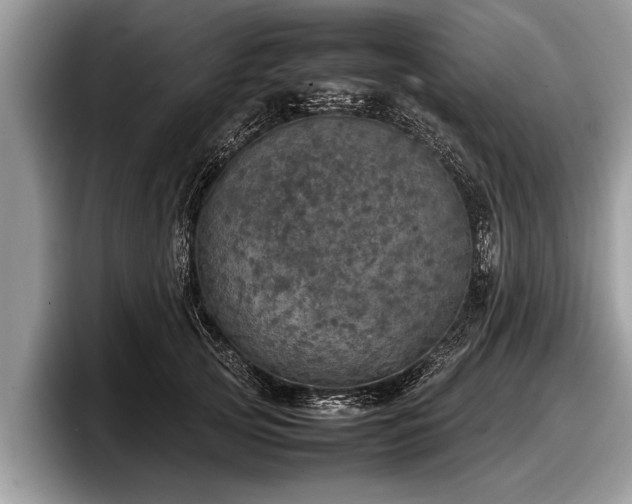 X0000097860753200803211254