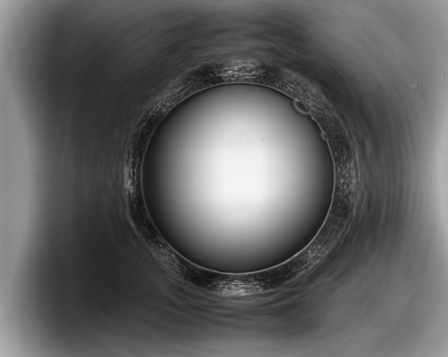 X0000097860755200803211254