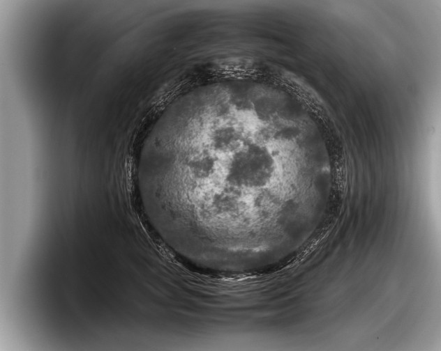 X0000097860757200803211254