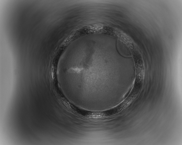 X0000097860758200803211254