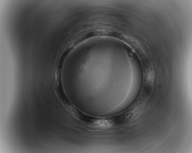 X0000097860759200803211254