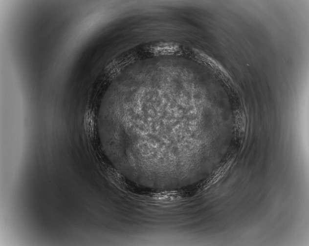 X0000097860761200803211254