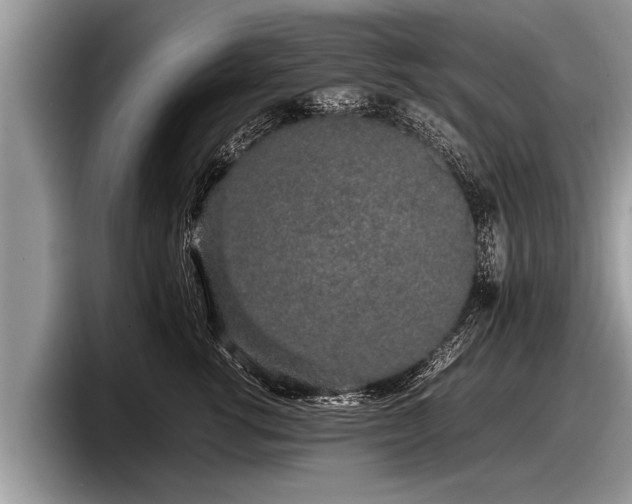 X0000097860762200803211254