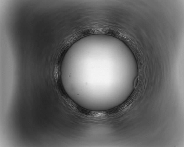 X0000097860768200803211254