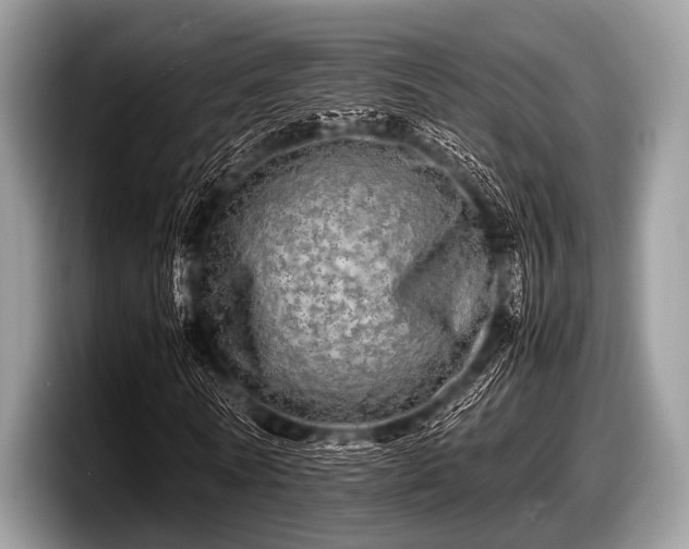 X0000097860770200803211253