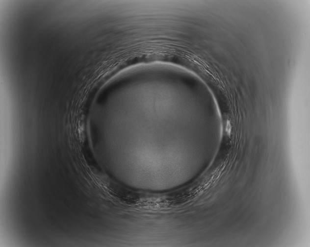 X0000097860771200803211253